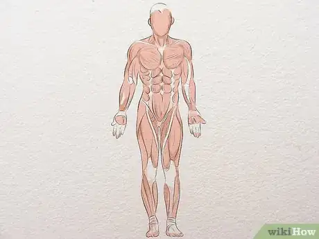 Image titled Learn Anatomy for Drawing Step 5