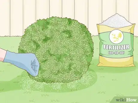Image titled Clean Up After Trimming Hedges Step 10