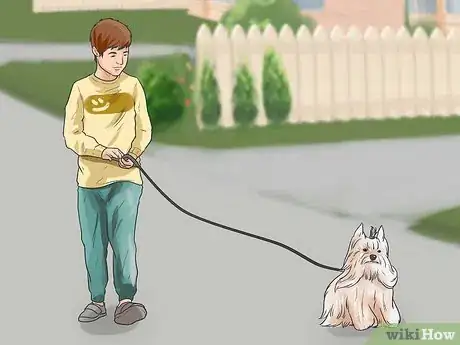 Image titled Stop a Dog from Killing Squirrels Step 4