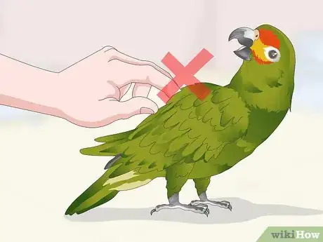 Image titled Deal with an Aggressive Amazon Parrot Step 15