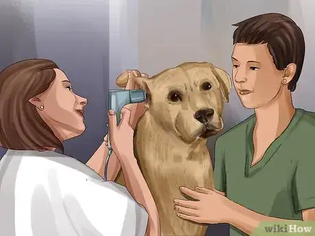 Image titled Diagnose Canine Ear Infections Step 15