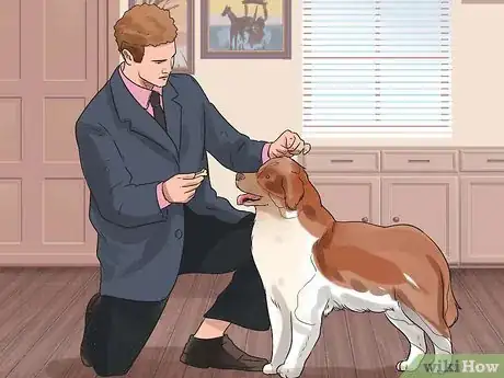 Image titled Be a Good Dog Owner Step 12