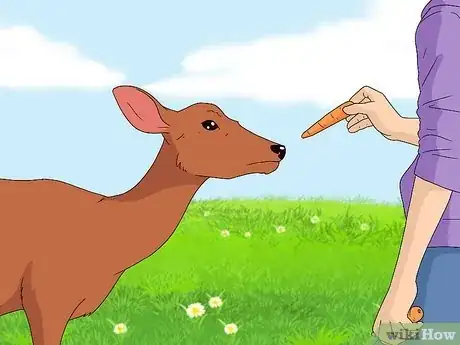 Image titled Feed Deer Step 10