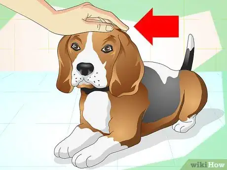 Image titled Keep Your Dog Calm Outside His Crate Step 3