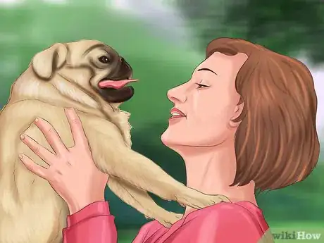 Image titled Live with a Pug Dog Step 21