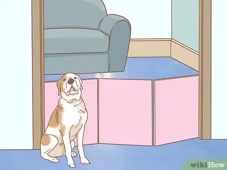 Image titled Care for Dogs Step 1
