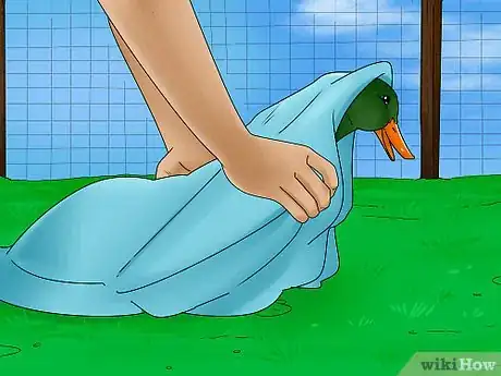 Image titled Catch a Duck Step 14