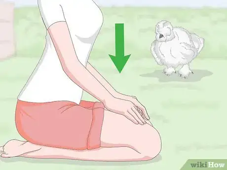 Image titled Pet a Chicken Step 6