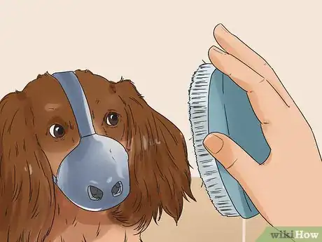 Image titled Groom a Dog That Bites Step 10