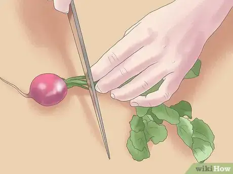 Image titled Harvest Radishes Step 4