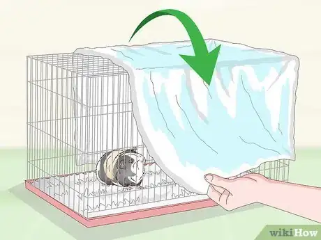 Image titled Keep Your Guinea Pig Cool in Hot Weather Step 13