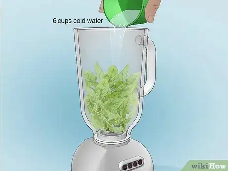 Image titled Make Chlorophyll Water Step 4