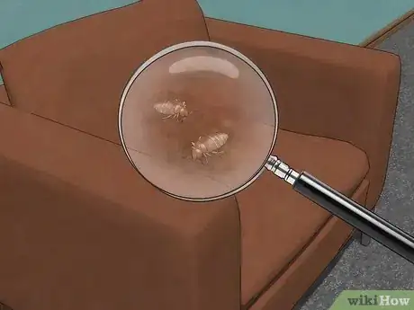 Image titled Stop Bed Bug Bites Immediately Step 24