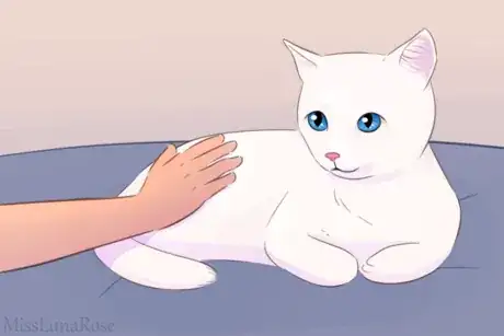 Image titled LR22 D Hand Petting Snow the Cat.png