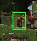 Breed Horses in Minecraft