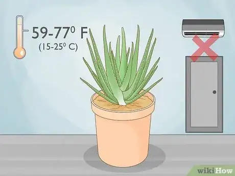 Image titled Care for Your Aloe Vera Plant Step 3