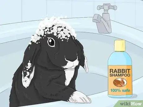 Image titled Treat Diarrhea in Rabbits Step 13