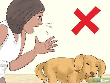 Image titled Train a Deaf Dog Step 11