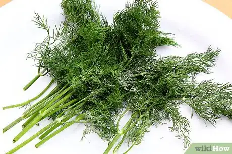 Image titled Dry Dill Step 12