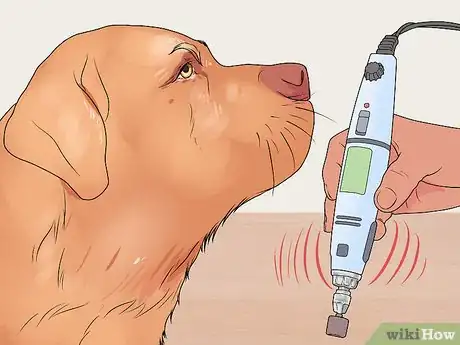 Image titled File a Dog's Nails Step 5