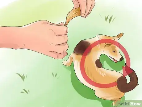 Image titled Teach Your Dog Tricks Step 8