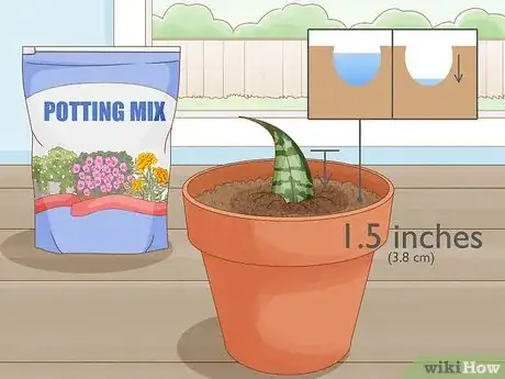 Image titled Propagate Snake Plant Step 10