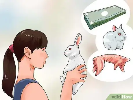 Image titled Breed Rabbits Step 1
