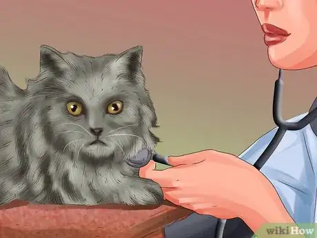 Image titled Give Cats Nutritional Supplements Step 1