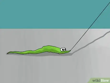 Image titled Do Tricks with Your Fuzzy Magic Worm Step 2