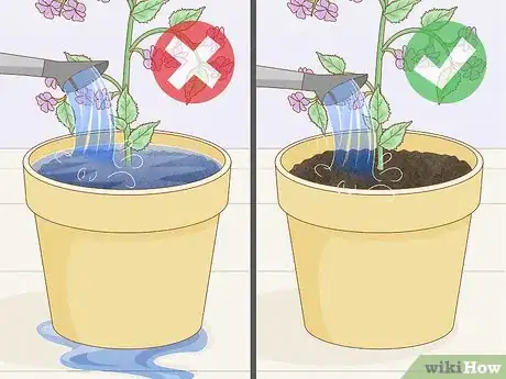 Image titled Get Rid of Mold on Houseplants Step 12