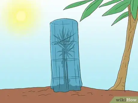 Image titled Grow Pine Trees Step 10