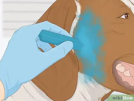 Image titled Dye Your Pet Step 11