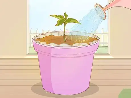 Image titled Make Pot Liners for Plants Step 7