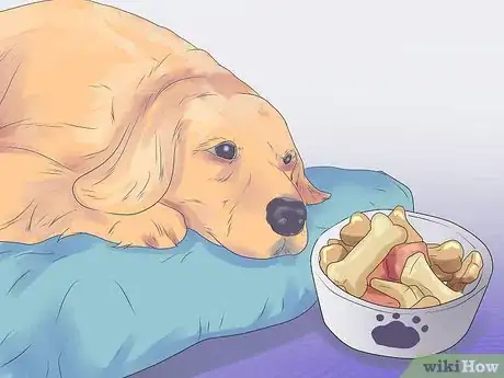 Image titled Help Your Dog During a Seizure Step 14