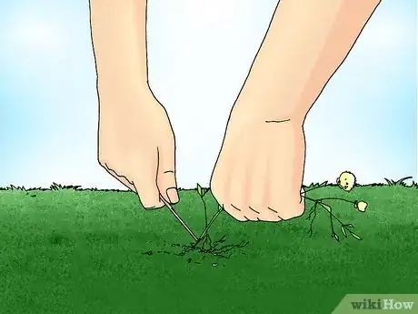 Image titled Remove White Clover from a Lawn Step 5