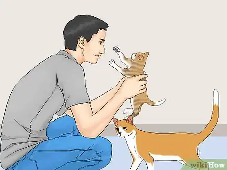 Image titled Be a Good Pet Owner Step 14