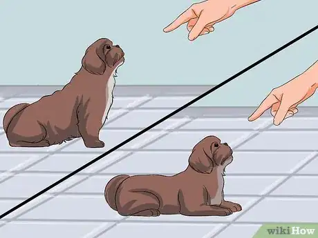 Image titled Train Your Shih Tzu Step 9