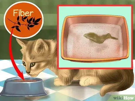 Image titled Choose a Diet for IBD Cats Step 7