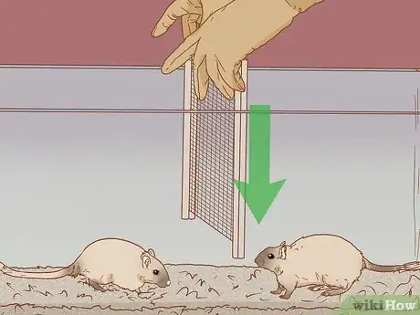 Image titled Split Cage a Gerbil Step 12