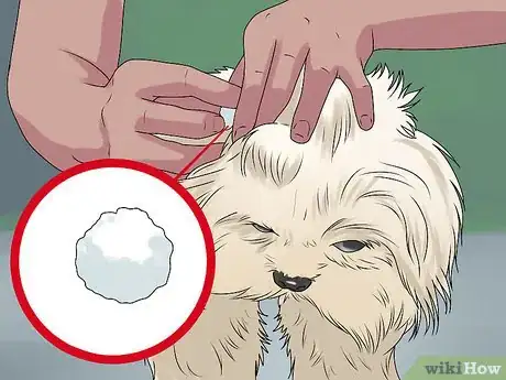 Image titled Bathe a Shih Tzu Step 4