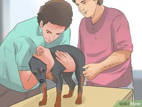 Image titled Give a Dog an Enema Step 13