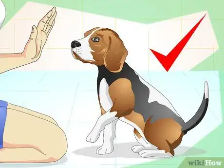 Image titled Keep Your Dog Calm Outside His Crate Step 1