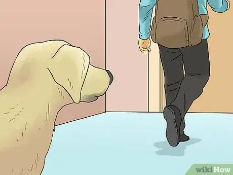 Image titled Make a Routine for Your Dog Step 1