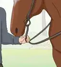 Teach Your Horse to Stop Biting