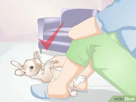 Image titled Teach a Rabbit Not to Chew Furniture Step 10