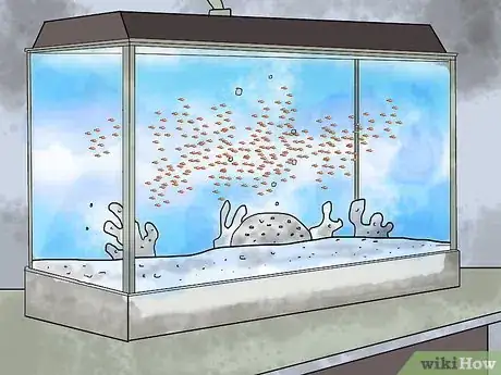 Image titled Breed Clownfish Step 10