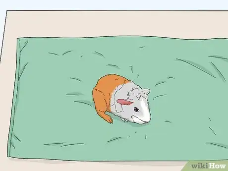 Image titled Make Emergency Guinea Pig Food Step 17