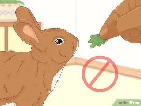 Image titled Treat Diarrhea in Rabbits Step 10