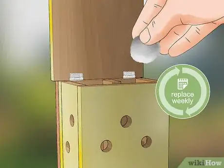 Image titled Build a Ladybug House Step 14