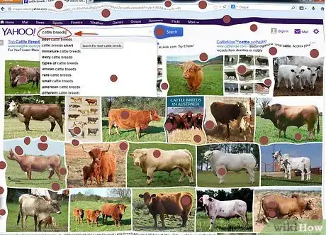 Image titled Identify Cattle Breeds Step 1